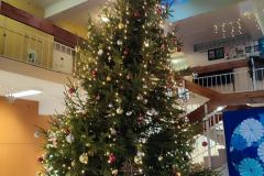 f8765403-6bec-4ef0-8084-e581c884b20a